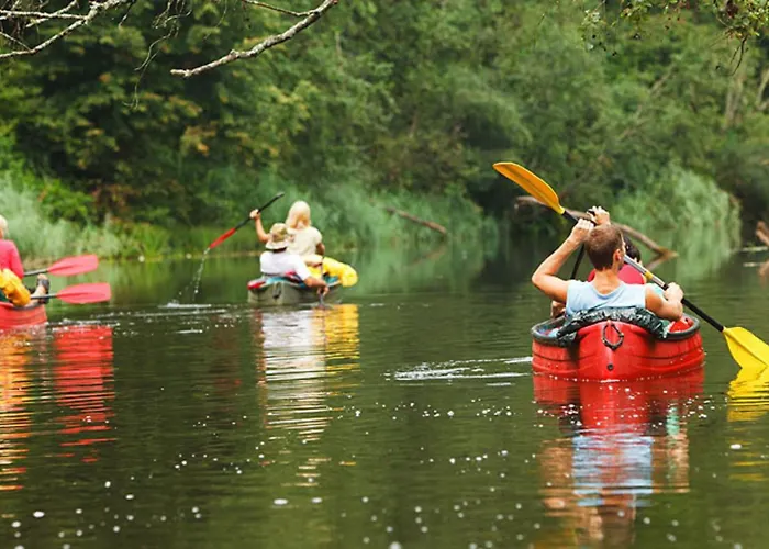 Holidays - Les Tailladis * Marcillac-Saint-Quentin