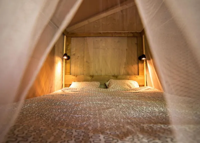 Kamp alanı Holidays - Les Tailladis